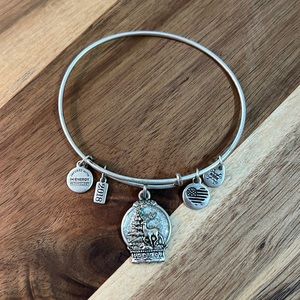 Alex and Ani 2018 Christmas snow globe charm bracelet in Rafaelian silver.